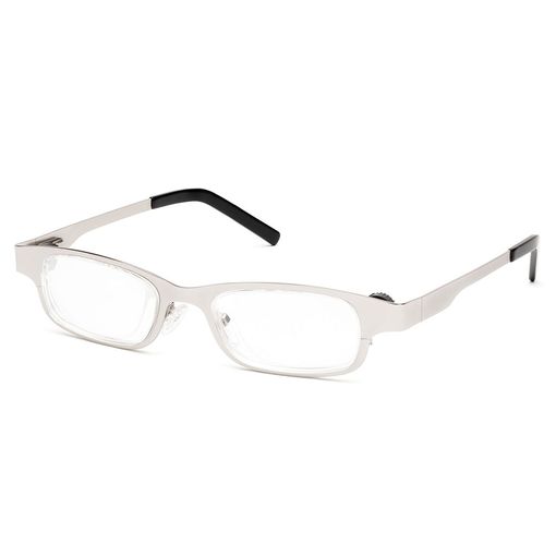 Eyejusters Stainless Steel reading glasses